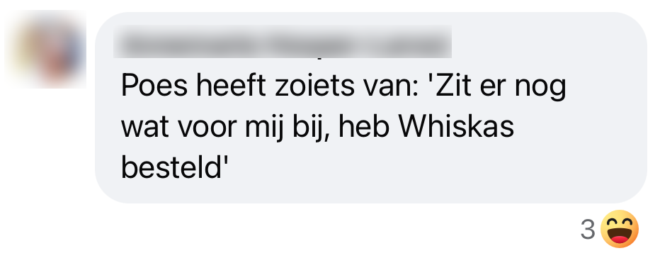 postnl bezorger kat
