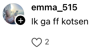leverworst