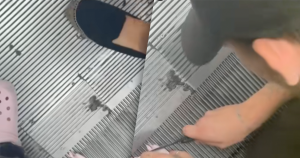 roltrap foto