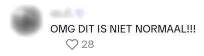 kliekjesdag
