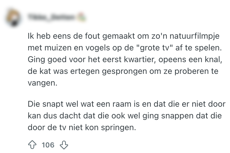 scherm