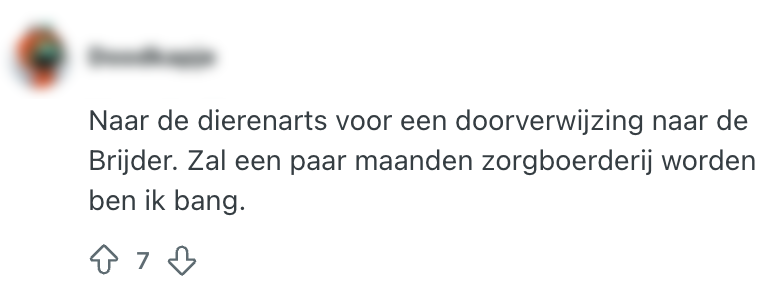 dierenarts