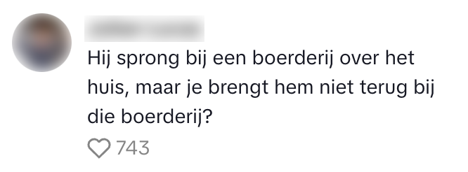 bos