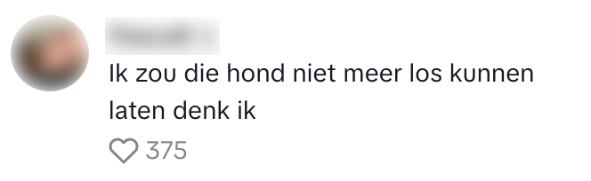 bos