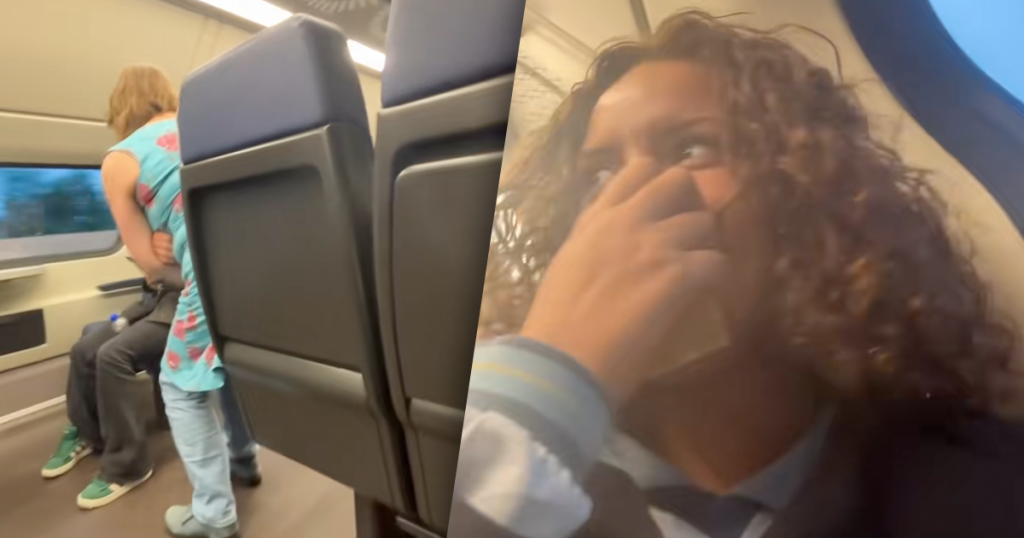 trein ns stiltecoupé