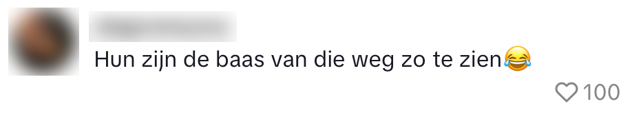 bok geiten