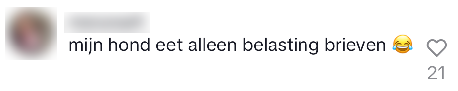 Efteling Holle Bolle Gijs onthulling