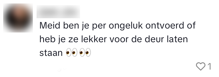 gofo pakketbezorger shein