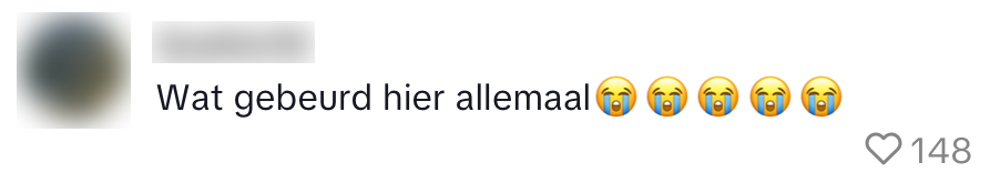 stiltecoupé trein NS