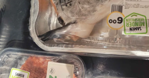 uitgelicht zalm