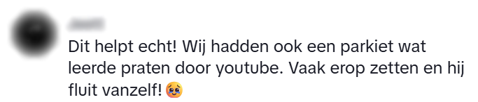 Vogel