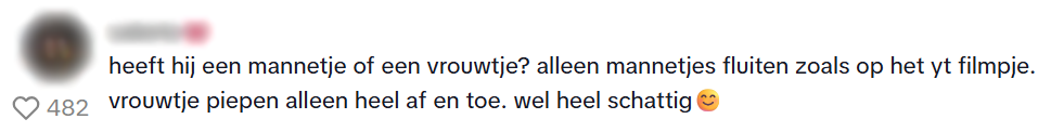 Vogel