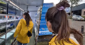 B34 - 11112025 - Vissenasiel - HEADER 4