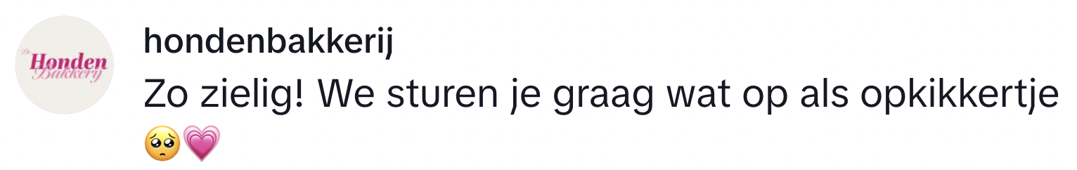 dierenwinkel