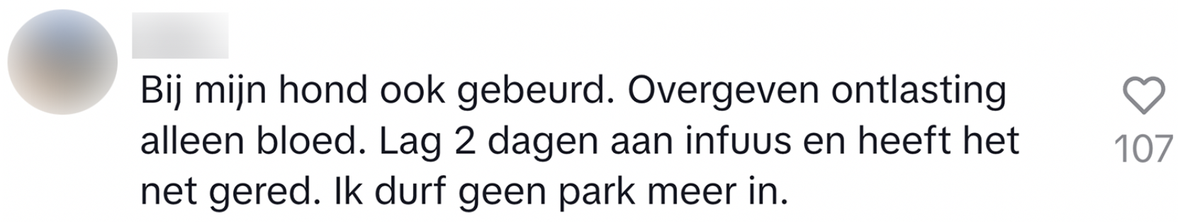 park