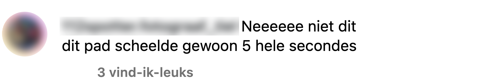 olifantenpaadje