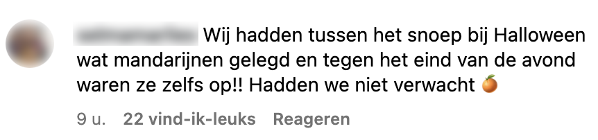 mandarijn