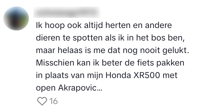 bos