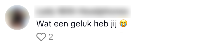 Bos
