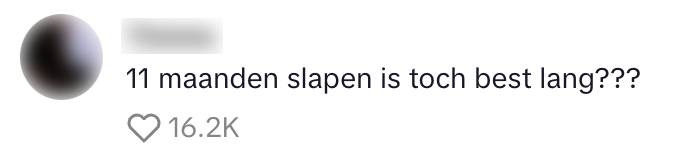 11 maanden