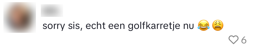 dief gestolen amsterdam auto