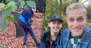 bos foto