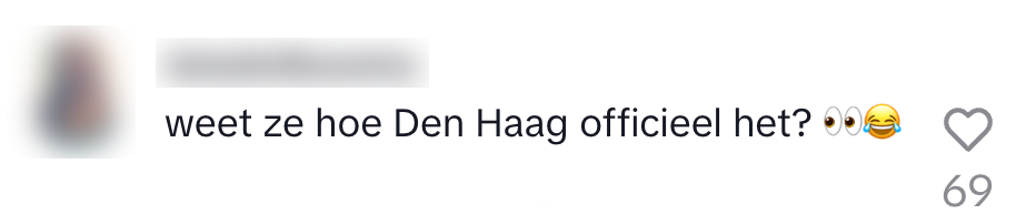 den bosch ontdekking stad naam