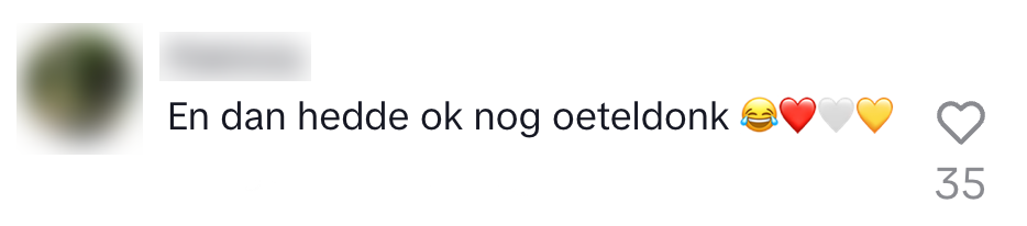 den bosch ontdekking stad naam