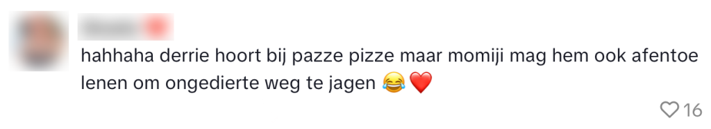 sushizaak inbreker voorbijganger