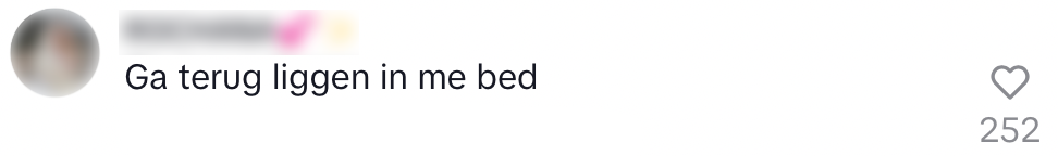 bed
