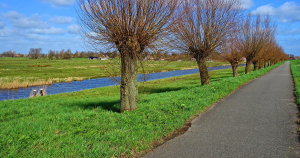 hardzonder