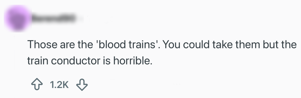 reiziger trein bord opvallend