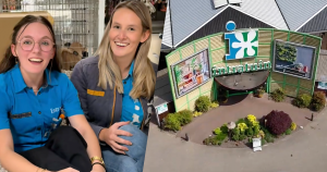 intratuin zonder