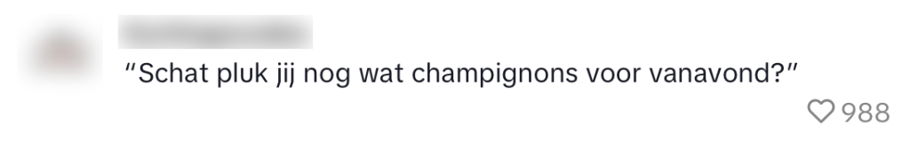 huurder muur ontdekking