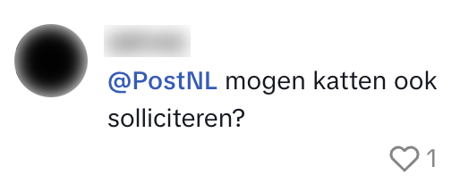 solliciteren