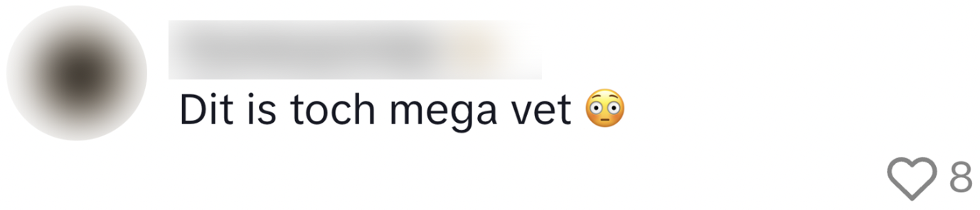 vliegtuig