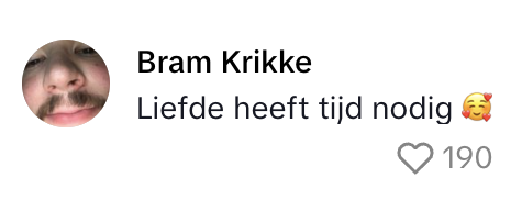 bram krikke