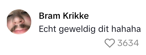 bram krikke