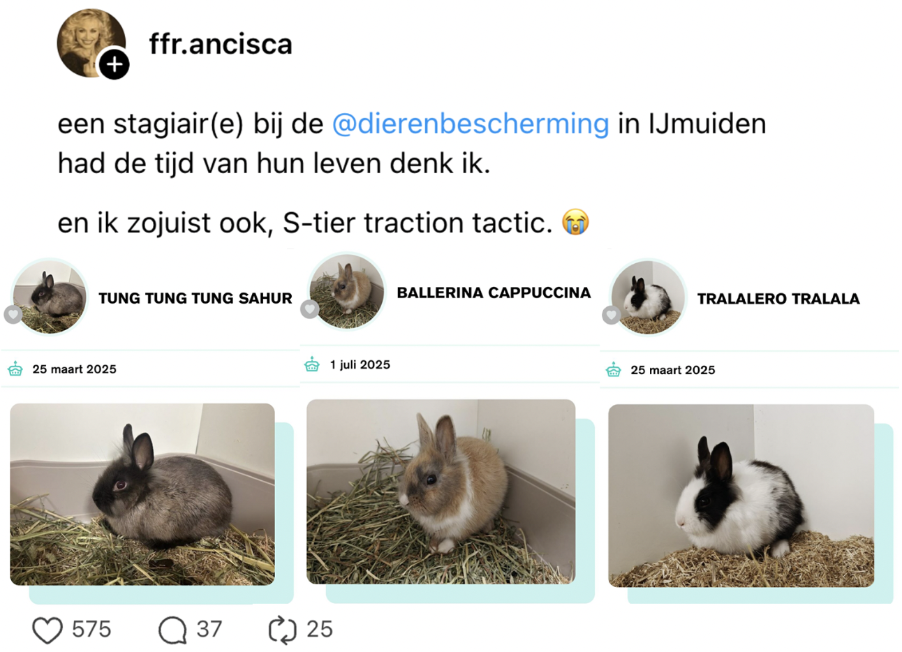 dieren