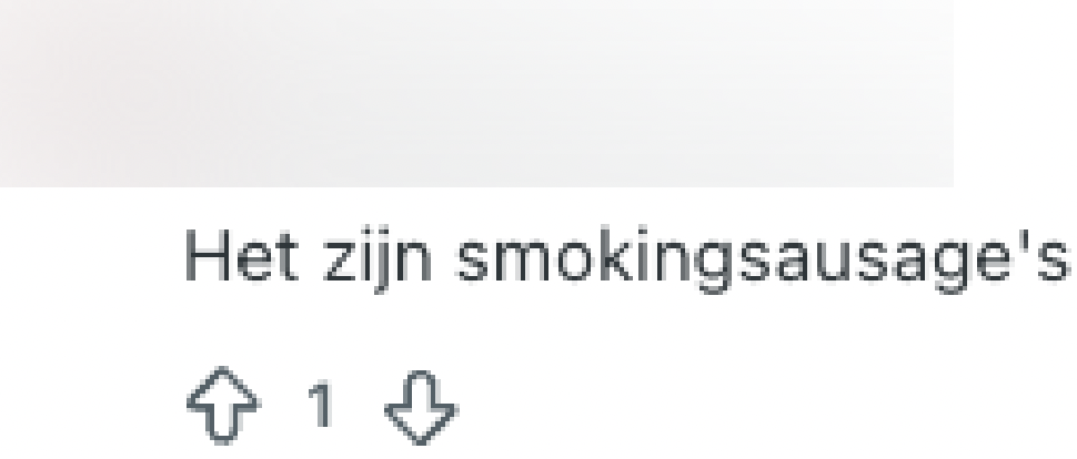 rookworst