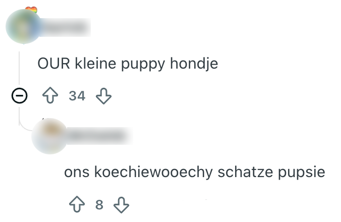 instructie