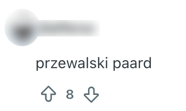 woorden