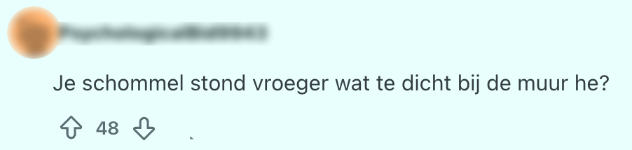 Beledigingen