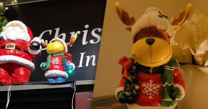 action intratuin foto