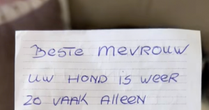 briefje zondr