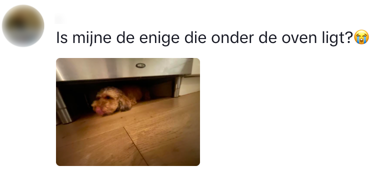 duinen
