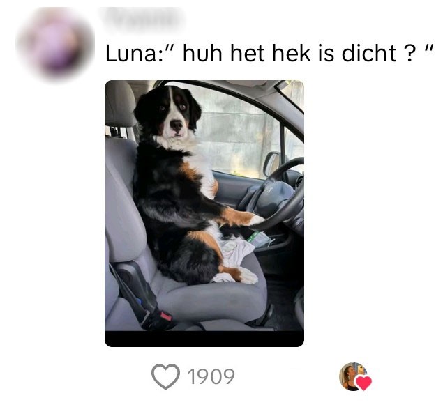 Winkel
