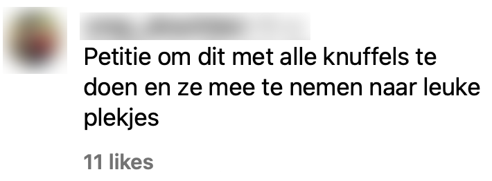 ice international trein