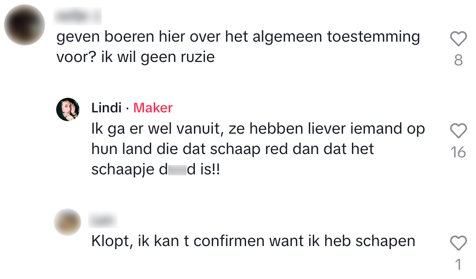 schaap