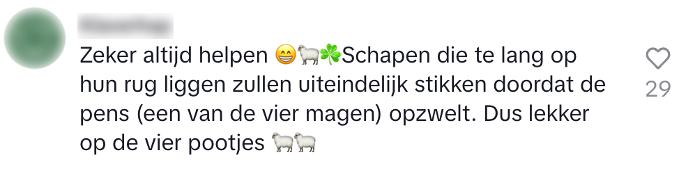 boer